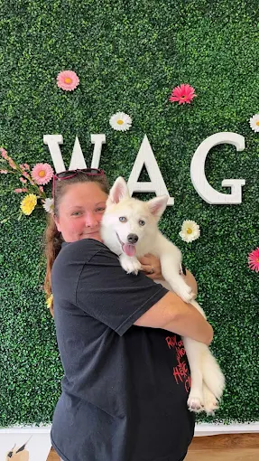 A person holding a white puppy at Wags About You